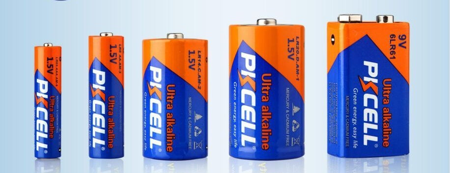 PKCELL Lithium Alkaline Coin Batteries